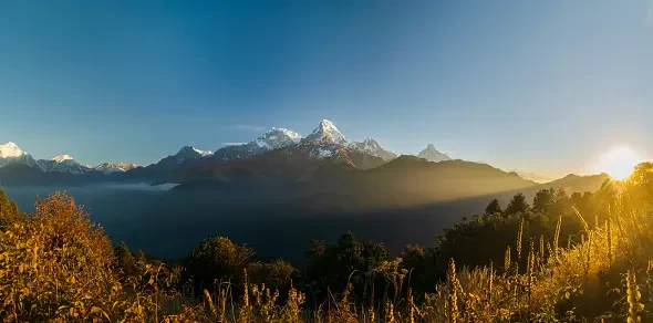 Ghorepani Poonhill Trek